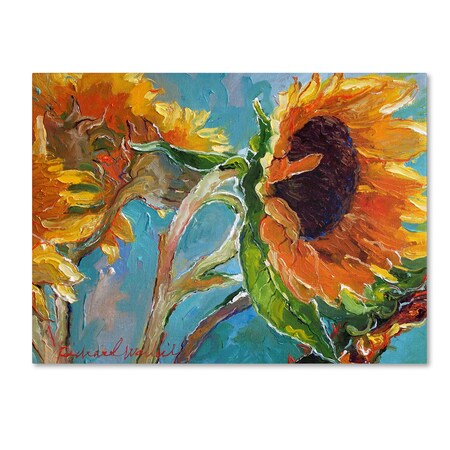 Trademark Fine Art Richard Wallich 'Sun 11' Canvas Art, 24x32 ALI0357-C2432GG